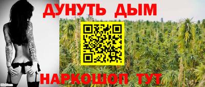 сатива Волжск